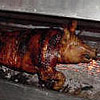 UrbanDaddy - Year of the (Spotted) Pig