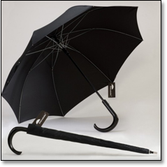 The Unbreakable Umbrella