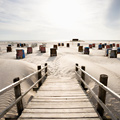 UrbanDaddy - The Hamptons Housing Market