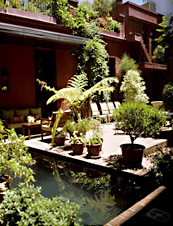 UrbanDaddy - Jardin Escondido