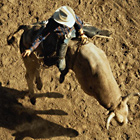UrbanDaddy - 75th Annual Helldorado Days