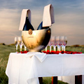 UrbanDaddy - Wine Tasting in the Park