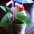 UrbanDaddy - Trader Vic's