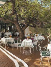 Polo Lounge Catering