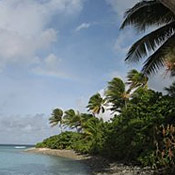 UrbanDaddy - Enedrik Island
