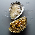 UD - Obama's Oysters Delivered
