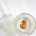 UD - Peepshow Shot Glasses