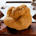 UD - White Truffles at Cecconi's