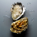 UD - Oysters, Beer, Music at Cole's