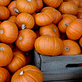 UD - Oktoberfest & Pumpkin Beer Festival