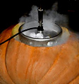 UD - Pumpkinfest at Cambridge Brewing Co.