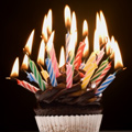 UD - This Week's Wildest 83rd Birthday Party