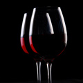 UD - Pinot Days at Navy Pier