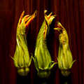 UD - Half-Off New Nage Bar Menu