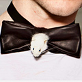 UD - The Rat Bowtie