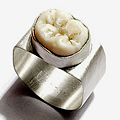 UD - Van Der Glas Tooth Jewelry