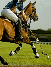 UD - Barbados Polo Club