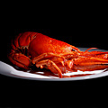 UD - Live Crawfish From the Louisiana Crawfish Company