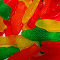 UD - Fish Candies From Indy's Best-Loved Candy Shop