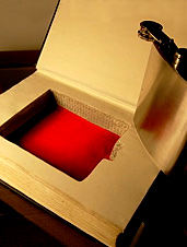 UD - Secret Safe Books