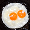 UD - Organic Omelets at the Palms