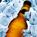 UD - Personal Beer Coolers at Tuck Shop
