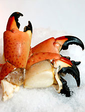 UD - George Stone Crab Home Delivery
