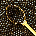 UD - Four-Course Caviar at Petrossian