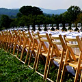 UD - Tickets on Sale for Outstanding in the Field