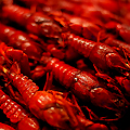 UD - Crawfish and Dixie Beer at Serpas