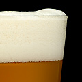 UD - A Brewpub Opens in Fredericksburg
