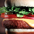 UD - Half Off Gourmet Burgers and 40% Off Exclusive Dopp Kits