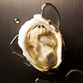 UD - Oysters for a Buck, Wine for $20