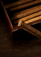 UD - Up Down Garden Smoking Party