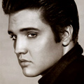 UD - Elvis Lives at Tacos & Tequila