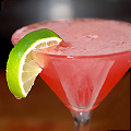 UD - The Cocktail of Sovereignty at Fusion