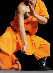 UD - Taining Martial Arts Academy