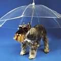 UD - The Dog-Brella
