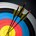 UD - Archery Bow Range Chicago