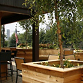 UrbanDaddy - Republic Social House