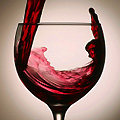 UD - $5 Wine at Pourtal