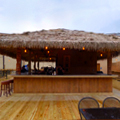 UD - A Huge New Tiki Roof Deck in Clarendon