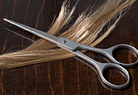 Hair Apparent