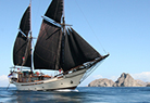 Schooner or Later