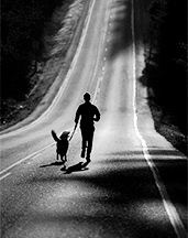 Jogs for Dogs