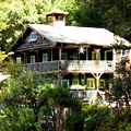 UD - Hiking Mount Tam for Beer