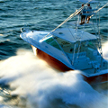 UD - Sportfishing in Sausalito