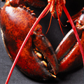 UD - Lobster Five Ways