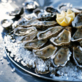 UD - $1 Oysters All Day at Hog & Rocks