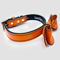 UD - A Leather Bow Tie, for Dogs